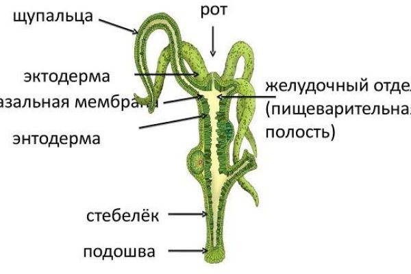 Kraken 2 зеркало